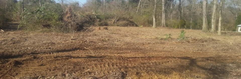 Land clearing for new home site
